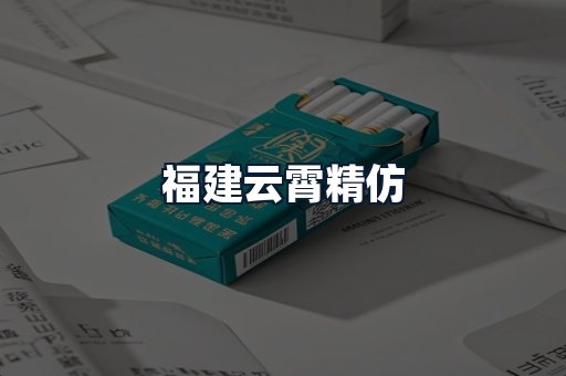 福建云霄精仿